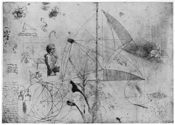 Blatt mit Studien, spätes 15. oder frühes 16. Jahrhundert 1954