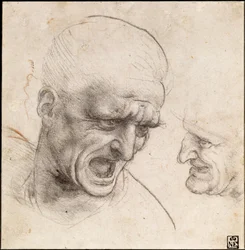 Studie von zwei Kriegerköpfen für die Schlacht von Anghiari, 1504-05