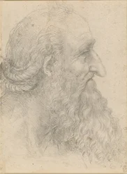 Der Kopf eines alten bärtigen Mannes, ca. 1517