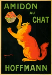 Amidon du chat Hoffman