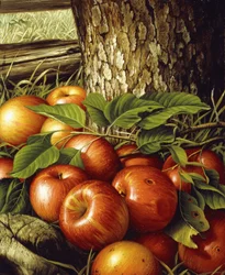 Äpfel und Baumstamm