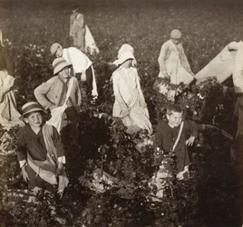 Bei Waxahachie, Texas