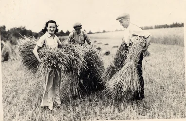 Fotografie von Adele Astaire zur Erntezeit (s/w Foto)