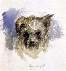 Mein Haustierhund