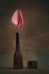 Elegantes Anthurium und Radio