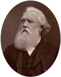 Right Hon Austen Henry Layard DCL, britischer Botschafter in Konstantinopel, 1877
