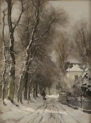 Ein schneebedeckter Pfad im Winter
