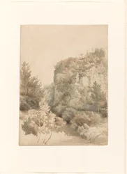 Bewachsenes Tal mit hohem Felsen und einem Bach