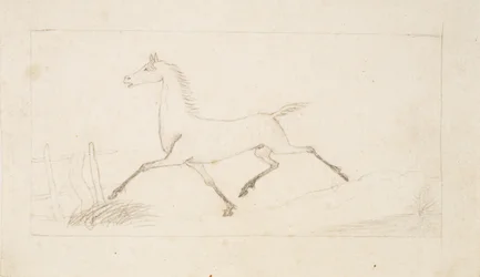 Ein trabendes Pferd