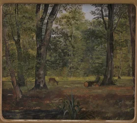 Charlottenlund Wald, nördlich von Kopenhagen
