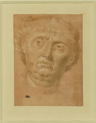 Porträt eines Mannes, Frontalansicht, Augen nach links