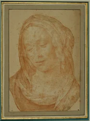 Porträt einer Frau mit Schleier