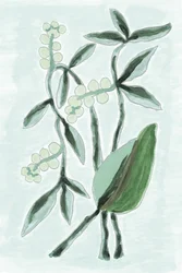 Grüne Botanische Aquarelle