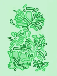 Grüne Organische Formen