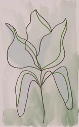Minimalistische Botanische Umrisse