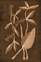 Organische Sepia Botanicals