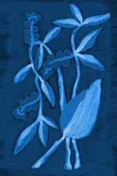 Samenkapsel 1 Tiefblau