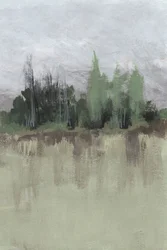 Serene Waldreflexion