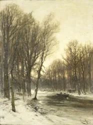 Nachmittagsansicht verschneiter Wälder