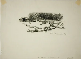 Kreuzung von l