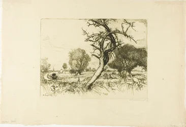 Der tote Apfelbaum