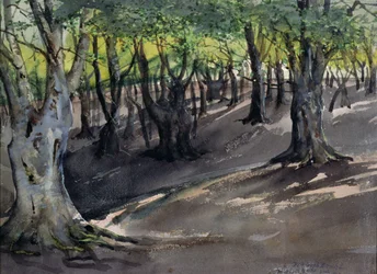 Das Herz des Epping Forest, High Beech