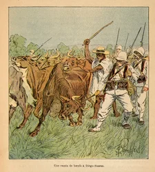 Der Krieg in Madagaskar - Anekdotische Geschichte der französischen Expeditionen von 1885-1895 von Henri Galli dit Galllichet (1854-1922), illustriert von Louis Bombled (1862-1927): In Diego-Suarez fordert die französische Armee Ochsen, Privatbesitz