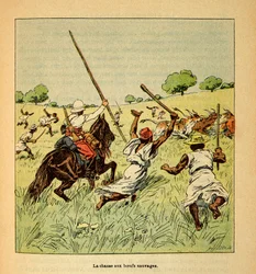 Der Krieg in Madagaskar - Anekdotische Geschichte der französischen Expeditionen von 1885-1895 von Henri Galli dit Galllichet (1854-1922), illustriert von Louis Bombled (1862-1927): Die Jagd auf wilde Ochsen in Madagaskar im Jahr 1895, Privatbesitz