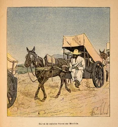 Der Krieg in Madagaskar - Anekdotische Geschichte der französischen Expeditionen von 1885-1895 von Henri Galli, illustriert von Louis Bombled: Konvoi von Kranken auf Marololo
