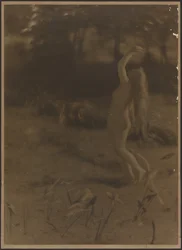 Klytie