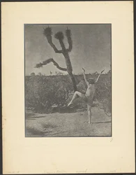 Tanzmeister