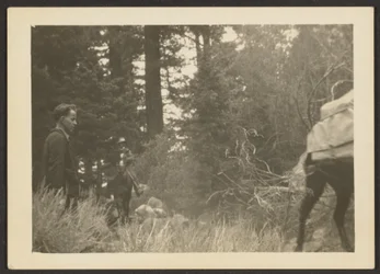 Figuren in einer waldigen Landschaft