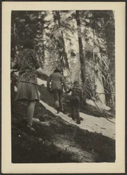 Figuren im Wald