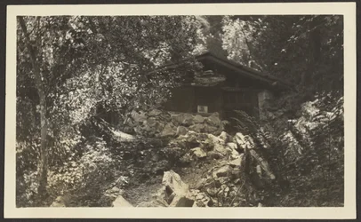 Waldhütte