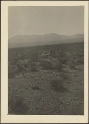 [Landschaft]