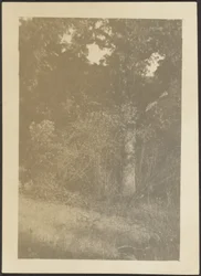 [Landschaft]