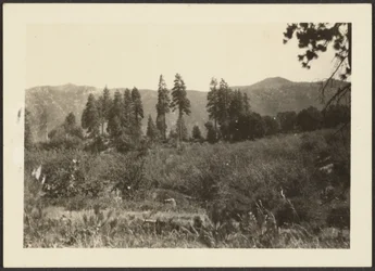 [Landschaft]