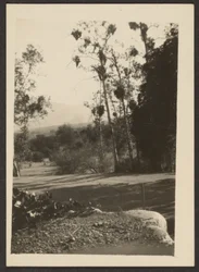 [Landschaft]