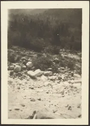 [Landschaft]