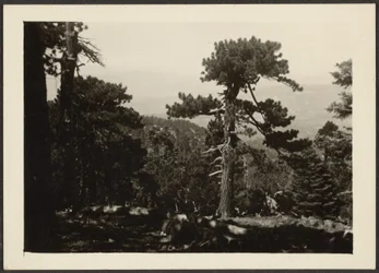 Landschaft