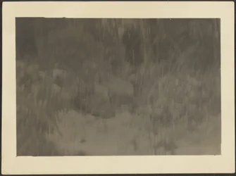 [Landschaft]