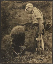 [Mann mit Jackrabbits]