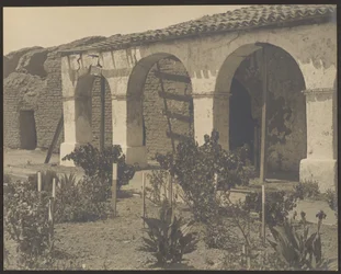 [Missionsgarten]