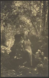 [Nackte Frau im Wald]