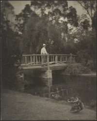 Rustikale Brücke