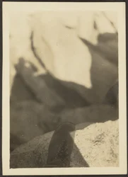 Schuh auf Felsen