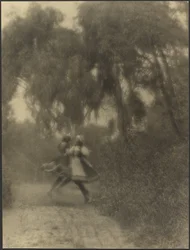 [Zwei Frauen tanzen im Wald]
