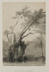 Ägypten und Nubien, Band III: Der heilige Baum von Metereah, 1849