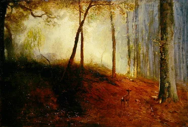 Hirsche im Wald