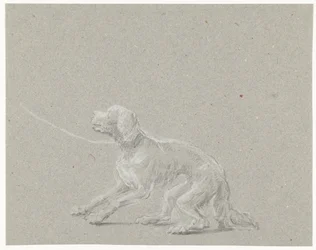 Hund an der Leine
